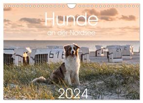 Hunde an der Nordsee (Wandkalender 2024 DIN A4 quer), CALVENDO Monatskalender von Bollich,  Heidi