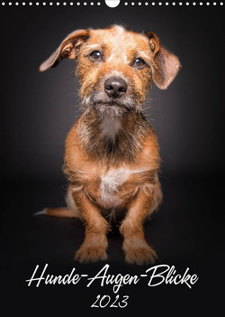 Hunde-Augen-Blicke (Wandkalender 2023 DIN A3 hoch) von Gareis,  Silke