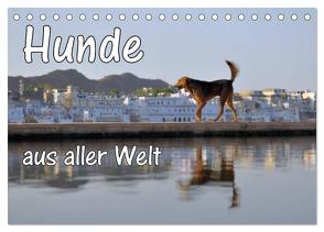 Hunde aus aller Welt (Tischkalender 2024 DIN A5 quer), CALVENDO Monatskalender von Blümm,  Florian