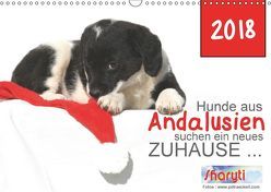 Hunde aus Andalusien suchen ein neues Zuhause … (Wandkalender 2018 DIN A3 quer) von Eckerl Tierfotografie www.petraeckerl.com,  Petra