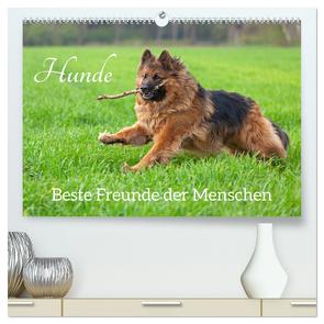 Hunde – Beste Freunde der Menschen (hochwertiger Premium Wandkalender 2024 DIN A2 quer), Kunstdruck in Hochglanz von Kuttig,  Siegfried