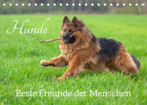 Hunde – Beste Freunde der Menschen (Tischkalender 2023 DIN A5 quer) von Kuttig,  Siegfried