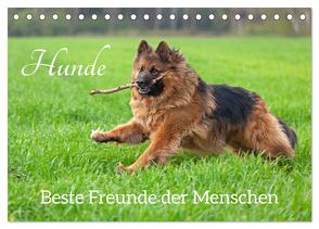 Hunde – Beste Freunde der Menschen (Tischkalender 2024 DIN A5 quer), CALVENDO Monatskalender von Kuttig,  Siegfried
