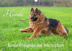 Hunde – Beste Freunde der Menschen (Wandkalender 2023 DIN A3 quer) von Kuttig,  Siegfried