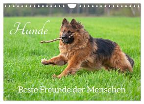 Hunde – Beste Freunde der Menschen (Wandkalender 2024 DIN A4 quer), CALVENDO Monatskalender von Kuttig,  Siegfried
