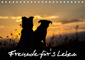 Hunde – Freunde für’s Leben (Tischkalender 2020 DIN A5 quer) von Schulz,  Elke