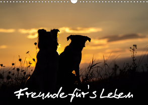 Hunde – Freunde für’s Leben (Wandkalender 2021 DIN A3 quer) von Schulz,  Elke