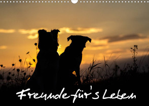 Hunde – Freunde für’s Leben (Wandkalender 2022 DIN A3 quer) von Schulz,  Elke