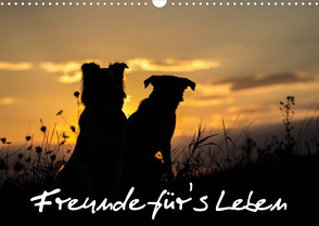 Hunde – Freunde für’s Leben (Wandkalender 2023 DIN A3 quer) von Schulz,  Elke