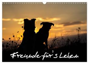 Hunde – Freunde für’s Leben (Wandkalender 2024 DIN A3 quer), CALVENDO Monatskalender von Schulz,  Elke
