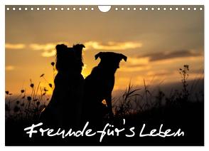 Hunde – Freunde für’s Leben (Wandkalender 2024 DIN A4 quer), CALVENDO Monatskalender von Schulz,  Elke