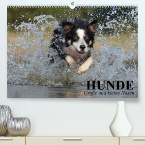 Hunde. Große und kleine Nasen (Premium, hochwertiger DIN A2 Wandkalender 2023, Kunstdruck in Hochglanz) von Stanzer,  Elisabeth