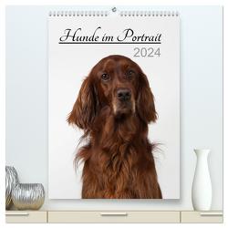 Hunde im Portrait (hochwertiger Premium Wandkalender 2024 DIN A2 hoch), Kunstdruck in Hochglanz von Bollich,  Heidi