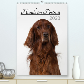 Hunde im Portrait (Premium, hochwertiger DIN A2 Wandkalender 2023, Kunstdruck in Hochglanz) von Bollich,  Heidi