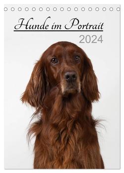 Hunde im Portrait (Tischkalender 2024 DIN A5 hoch), CALVENDO Monatskalender von Bollich,  Heidi