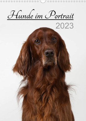 Hunde im Portrait (Wandkalender 2023 DIN A3 hoch) von Bollich,  Heidi