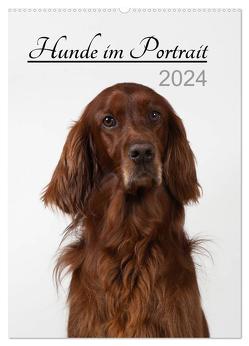 Hunde im Portrait (Wandkalender 2024 DIN A2 hoch), CALVENDO Monatskalender von Bollich,  Heidi