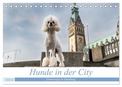 Hunde in der City – Unterwegs in Hamburg (Tischkalender 2024 DIN A5 quer), CALVENDO Monatskalender von Teßen,  Sonja