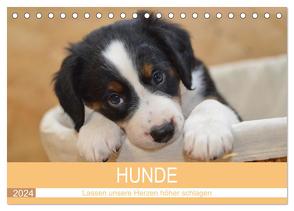 HUNDE – Lassen unsere Herzen höher schlagen (Tischkalender 2024 DIN A5 quer), CALVENDO Monatskalender von Hampe-Neves,  Sabine