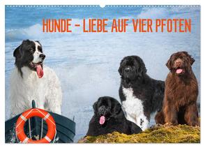 Hunde – Liebe auf vier Pfoten (Wandkalender 2024 DIN A2 quer), CALVENDO Monatskalender von Starick,  Sigrid