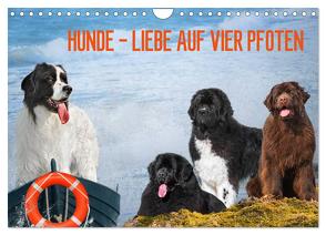 Hunde – Liebe auf vier Pfoten (Wandkalender 2024 DIN A4 quer), CALVENDO Monatskalender von Starick,  Sigrid