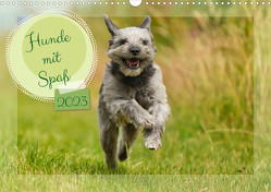 Hunde mit Spaß (Wandkalender 2023 DIN A3 quer) von Fornal,  Martina