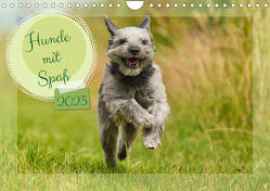 Hunde mit Spaß (Wandkalender 2023 DIN A4 quer) von Fornal,  Martina