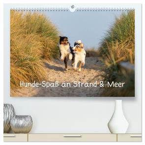 Hunde-Spaß an Strand & Meer (hochwertiger Premium Wandkalender 2024 DIN A2 quer), Kunstdruck in Hochglanz von Mirsberger,  Annett