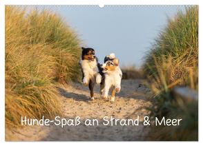 Hunde-Spaß an Strand & Meer (Wandkalender 2024 DIN A2 quer), CALVENDO Monatskalender von Mirsberger,  Annett