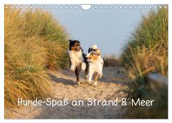 Hunde-Spaß an Strand & Meer (Wandkalender 2024 DIN A4 quer), CALVENDO Monatskalender von Mirsberger,  Annett