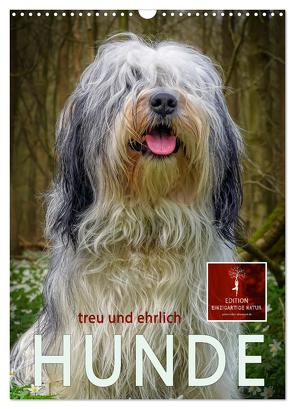 Hunde – treu und ehrlich (Wandkalender 2024 DIN A3 hoch), CALVENDO Monatskalender von Roder,  Peter