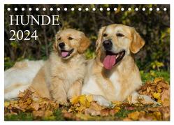 Hunde – Treue Freunde für´s Leben (Tischkalender 2024 DIN A5 quer), CALVENDO Monatskalender von Starick,  Sigrid