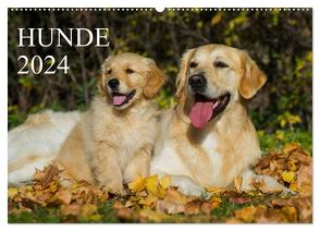 Hunde – Treue Freunde für´s Leben (Wandkalender 2024 DIN A2 quer), CALVENDO Monatskalender von Starick,  Sigrid