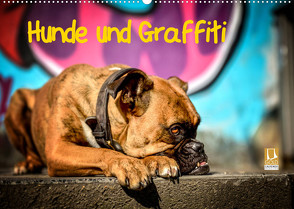 Hunde und Graffiti (Wandkalender 2022 DIN A2 quer) von Janetzek,  Yvonne