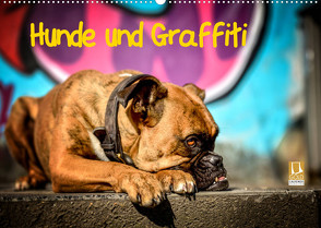 Hunde und Graffiti (Wandkalender 2023 DIN A2 quer) von Janetzek,  Yvonne