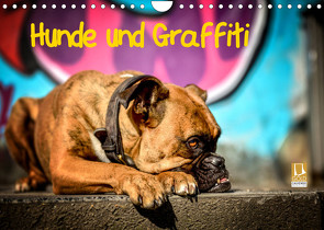 Hunde und Graffiti (Wandkalender 2023 DIN A4 quer) von Janetzek,  Yvonne