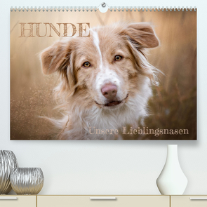 Hunde – Unsere Lieblingsnasen (Premium, hochwertiger DIN A2 Wandkalender 2023, Kunstdruck in Hochglanz) von Andreas Kossmann,  Tierfotografie