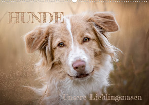 Hunde – Unsere Lieblingsnasen (Wandkalender 2024 DIN A2 quer), CALVENDO Monatskalender von Andreas Kossmann,  Tierfotografie