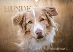 Hunde – Unsere Lieblingsnasen (Wandkalender 2024 DIN A3 quer), CALVENDO Monatskalender von Andreas Kossmann,  Tierfotografie
