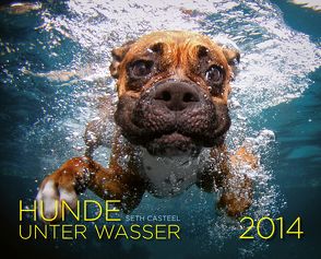 Hunde unter Wasser 2014 von Casteel,  Seth
