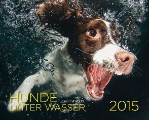 Hunde unter Wasser 2015 von Casteel,  Seth