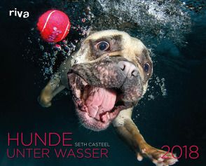 Hunde unter Wasser 2018 von Casteel,  Seth