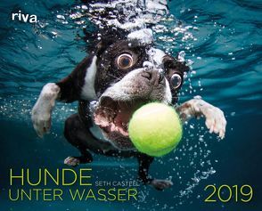 Hunde unter Wasser 2019 von Casteel,  Seth