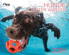Hunde unter Wasser 2020 von Casteel,  Seth