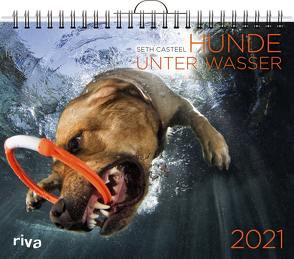 Hunde unter Wasser 2021 von Casteel,  Seth