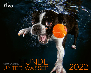 Hunde unter Wasser 2022 von Casteel,  Seth