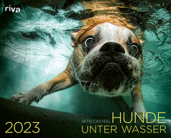 Hunde unter Wasser 2023 von Casteel,  Seth