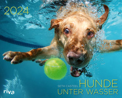 Hunde unter Wasser 2024 von Casteel,  Seth