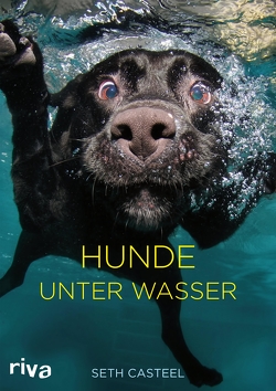 Hunde unter Wasser von Casteel,  Seth