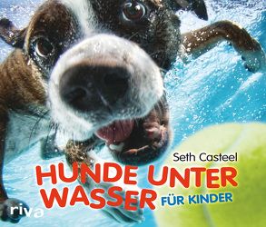 Hunde unter Wasser für Kinder von Casteel,  Seth